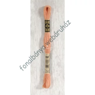   DMC  hímzőfonal  - Mouliné  # Special3341