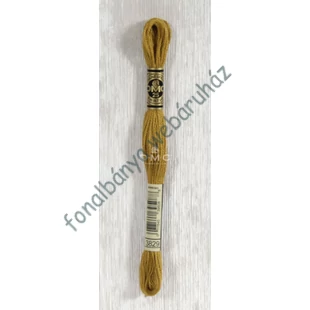   DMC  hímzőfonal  - Mouliné  # Special3829